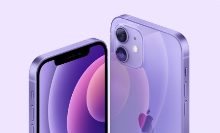 青山苹果手机维修分享紫色版iPhone 12有什么技术亮点 